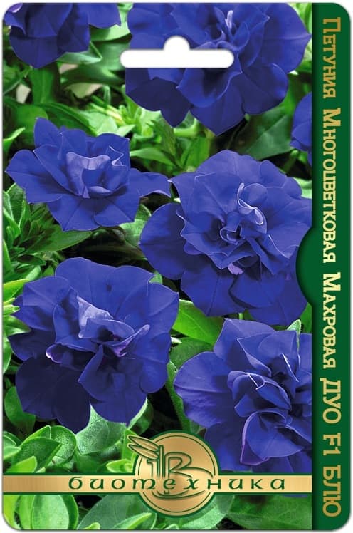 Фото – Петуния многоцветковая махровая Дуо F1 Блю