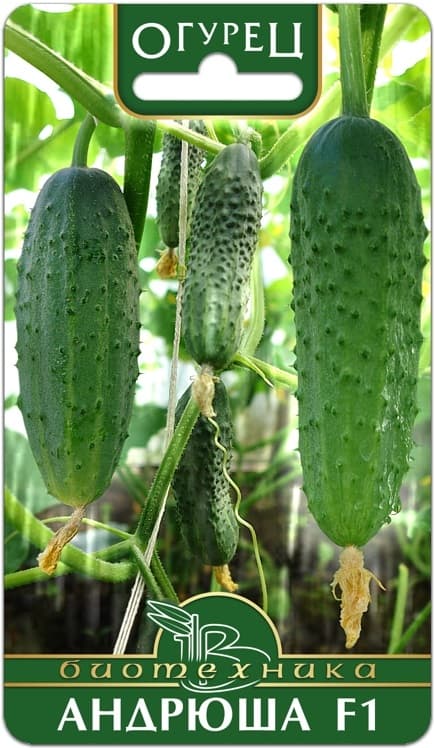 Фото – Огурец Андрюша F1