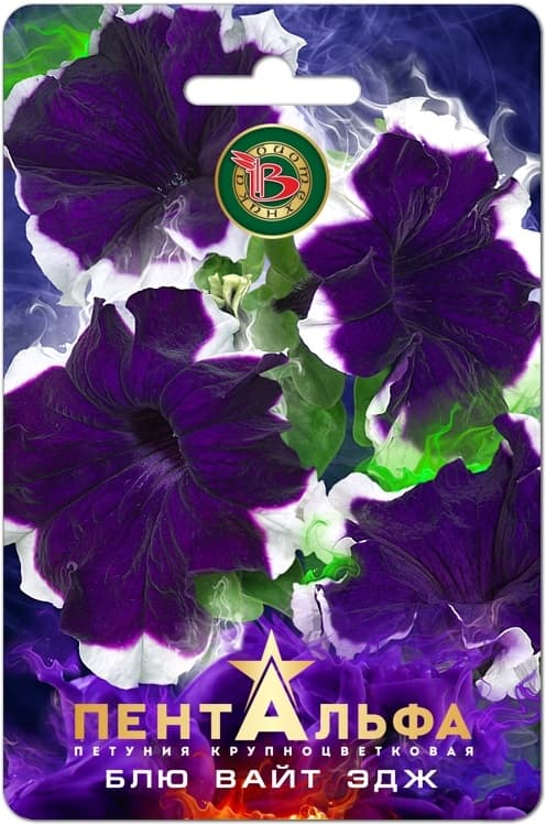 Фото – Петуния Пентальфа F1 Блю Вайт Эдж