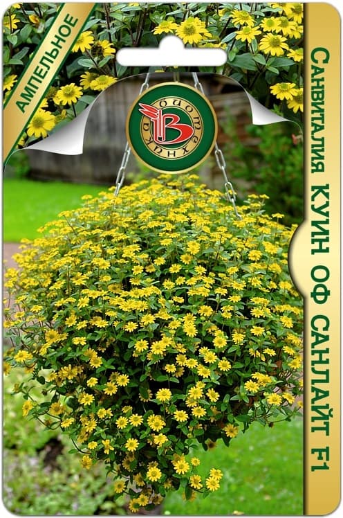 Фото – Санвиталия Куин оф Санлайт F1