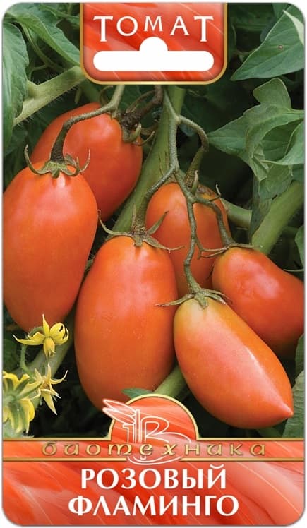 Фото – Томат Розовый Фламинго