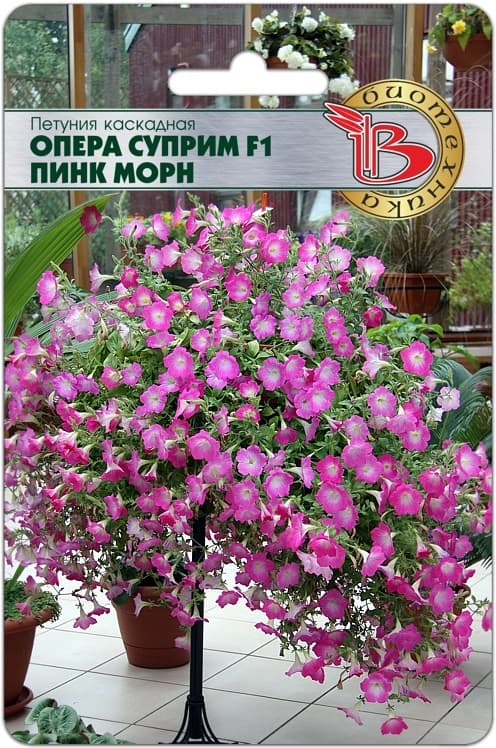 Фото – Петуния каскадная Опера Суприм F1 Пинк Морн