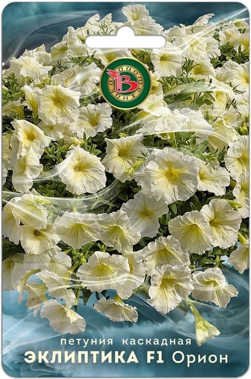 Фото – Петуния каскадная Эклиптика F1 Орион