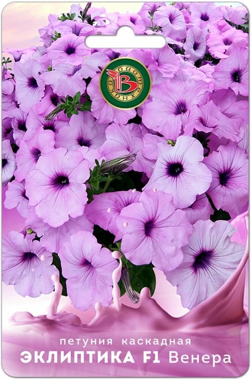 Фото – Петуния каскадная Эклиптика F1 Венера