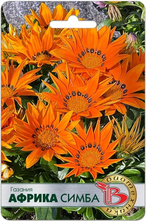 Фото – Газания Африка Симба