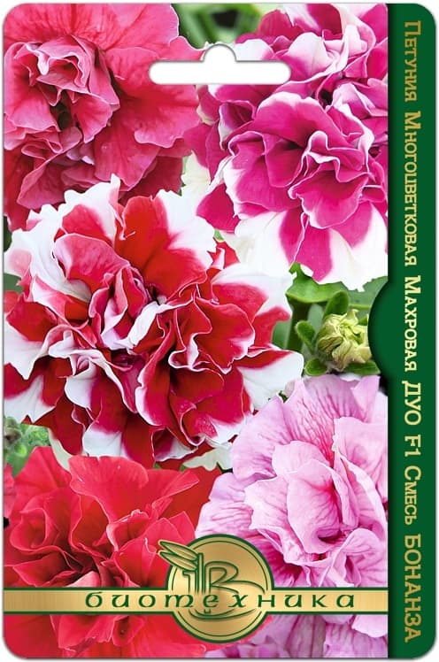 Фото – Петуния многоцветковая махровая Дуо F1 Бонанза смесь