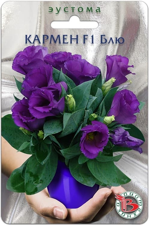 Фото – Эустома горшечная Кармен F1 Блю