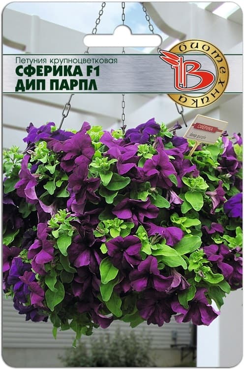 Фото – Петуния крупноцветковая Сферика F1 Дип Парпл