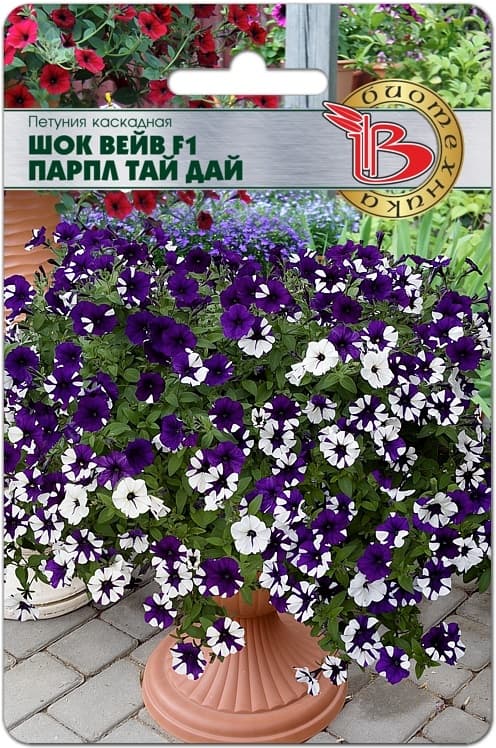 Фото – Петуния каскадная Шок Вейв F1 Парпл Тай Дай