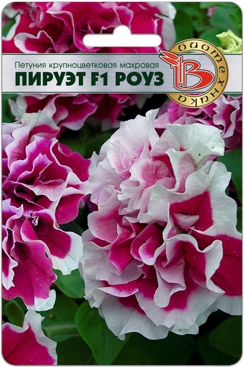 Фото – Петуния крупноцветковая махровая Пируэт F1 Роуз