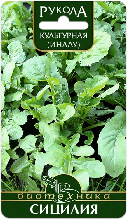 Фото – Рукола (индау) культурная Сицилия