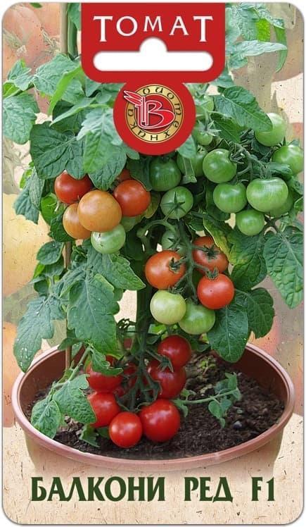 Фото – Томат декоративный Балкони Ред F1