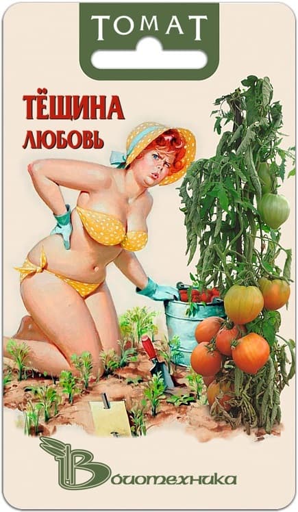 Фото – Томат Тещина любовь