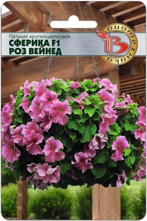 Фото – Петуния крупноцветковая Сферика F1 Роз Вейнед