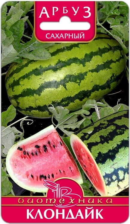 Фото – Арбуз Клондайк