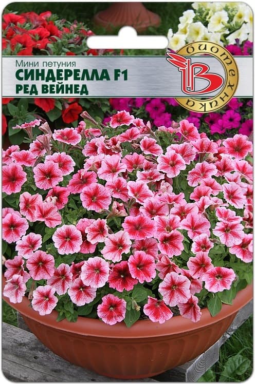 Фото – Мини Петуния мелкоцветковая Синдерелла F1 Ред Вейнед