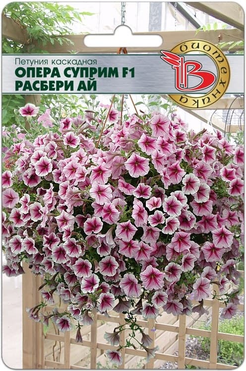 Фото – Петуния каскадная Опера Суприм F1 Расбери Ай