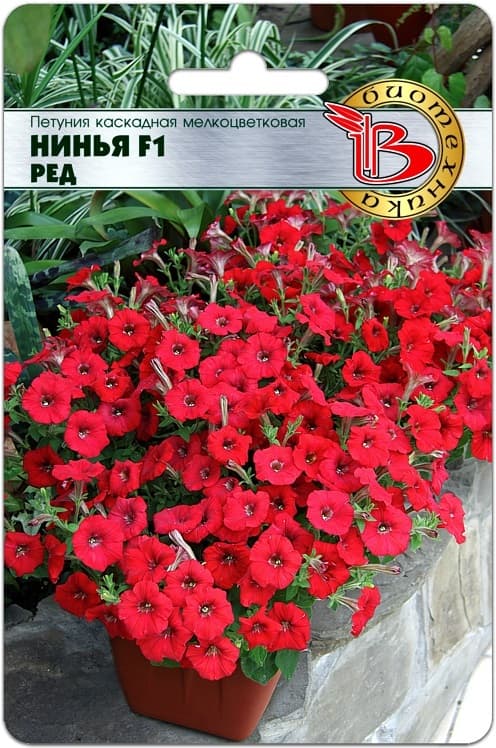 Фото – Петуния каскадная мелкоцветковая Нинья F1 Ред