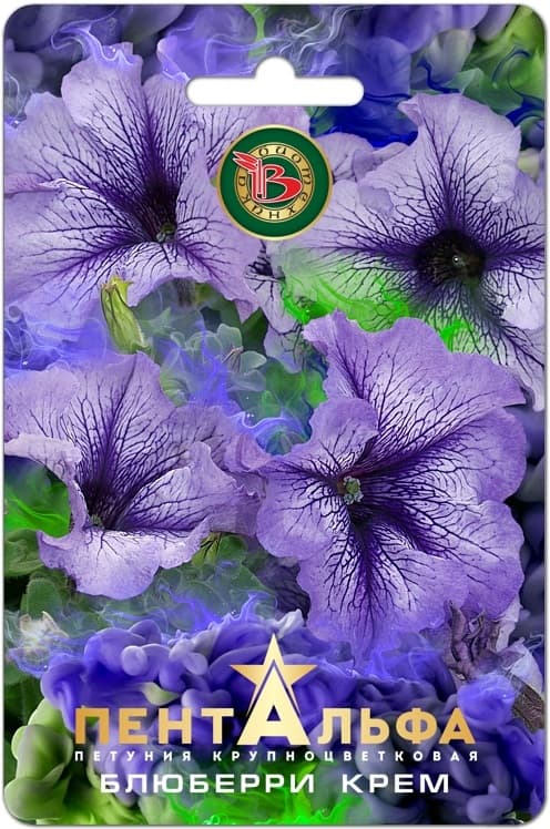 Фото – Петуния Пентальфа F1 Блюберри Крем