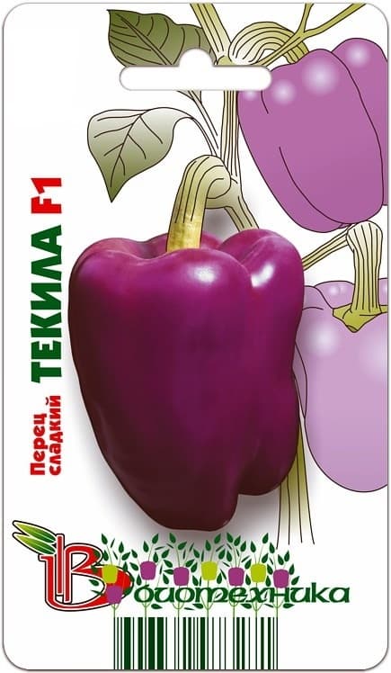 Фото – Перец сладкий Текила F1