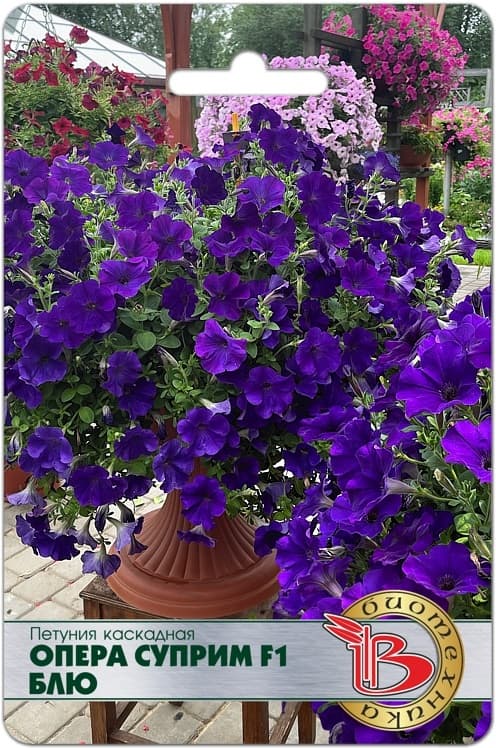 Фото – Петуния каскадная Опера Суприм F1 Блю