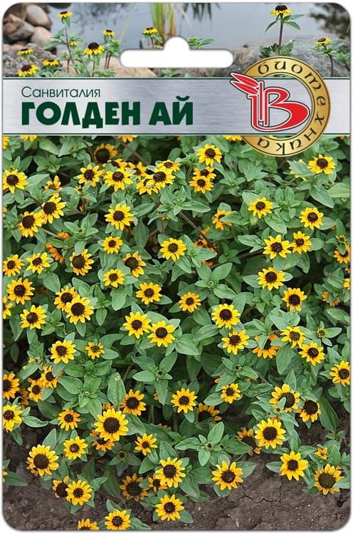 Фото – Санвиталия Голден Ай