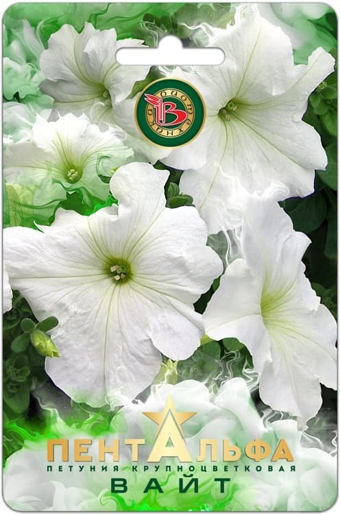 Фото – Петуния Пентальфа F1 Вайт