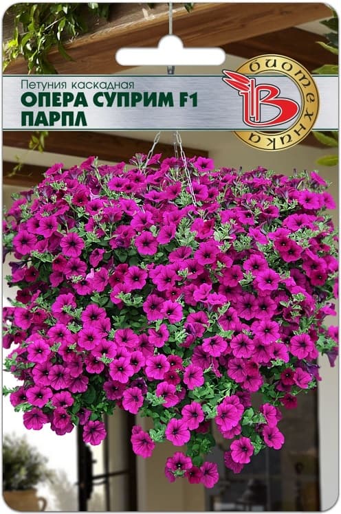 Фото – Петуния каскадная Опера Суприм F1 Парпл
