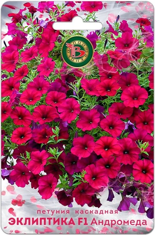 Фото – Петуния каскадная Эклиптика F1 Андромеда