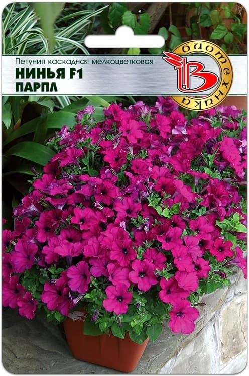 Фото – Петуния каскадная мелкоцветковая Нинья F1 Парпл