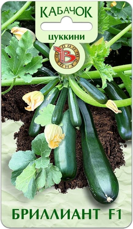 Фото – Кабачок Цуккини Бриллиант F1