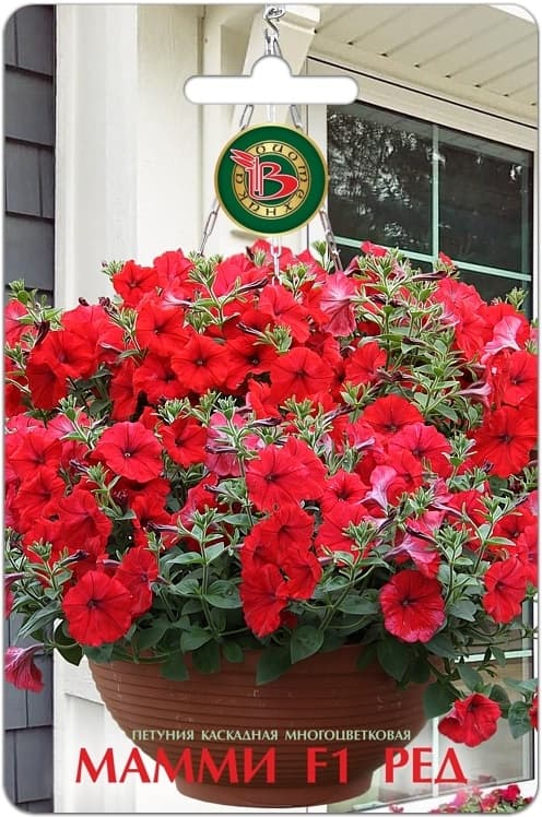 Фото – Петуния каскадная многоцветковая Мамми F1 Ред