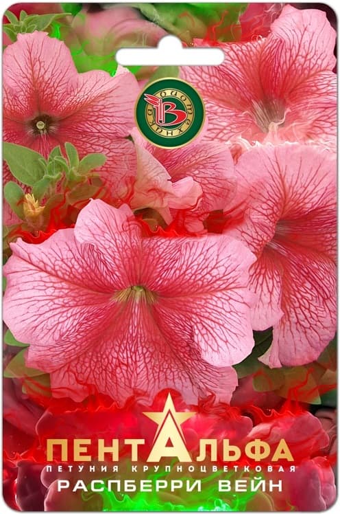 Фото – Петуния Пентальфа F1 Распберри Вейн