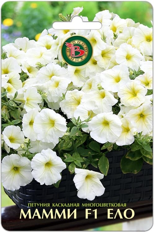 Фото – Петуния каскадная многоцветковая Мамми F1 Еллоу
