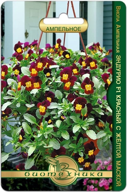 Фото – Виола ампельная Эндурио F1 Красный с Желтой Маской