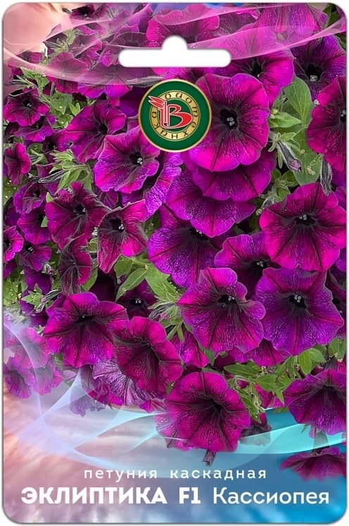 Фото – Петуния каскадная Эклиптика F1 Кассиопея