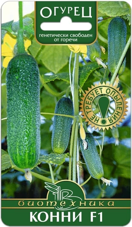 Фото – Огурец Конни F1