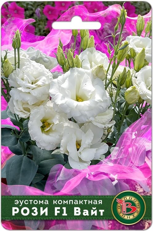 Фото – Эустома компактная махровая Рози F1 Вайт