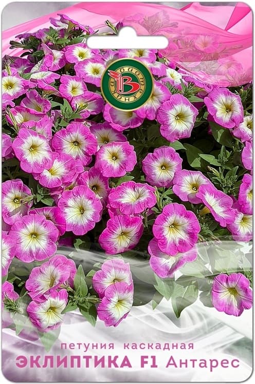 Фото – Петуния каскадная Эклиптика F1 Антарес