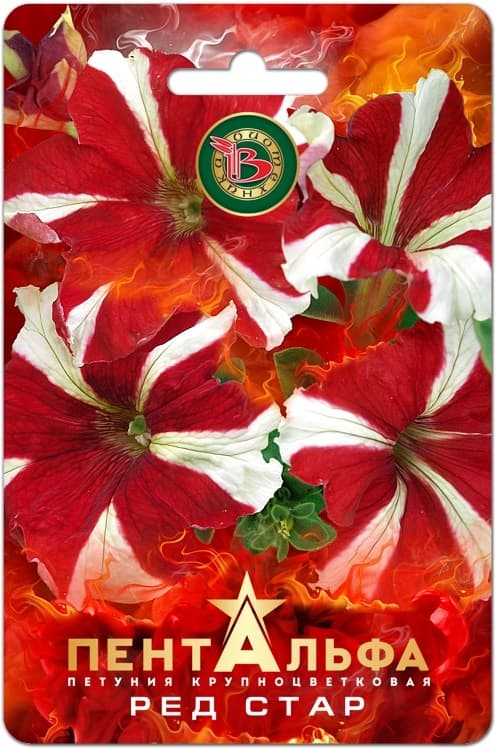 Фото – Петуния Пентальфа F1 Ред Стар