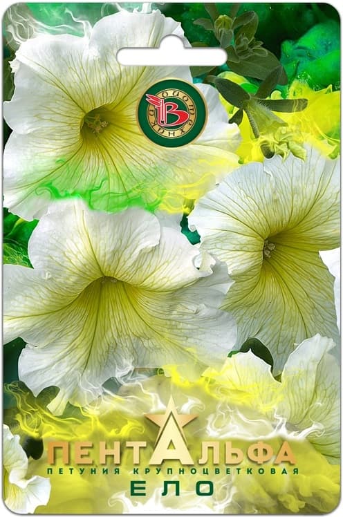 Фото – Петуния Пентальфа F1 Ело