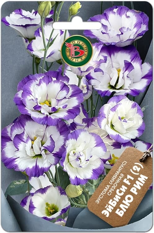 Фото – Эустома срезочная ЭйБиСи F1 (2) Блю Рим