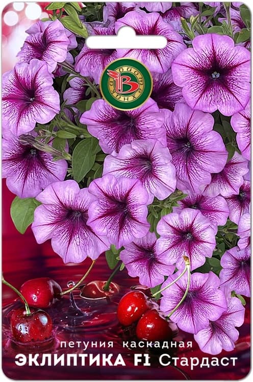Фото – Петуния каскадная Эклиптика F1 Стардаст