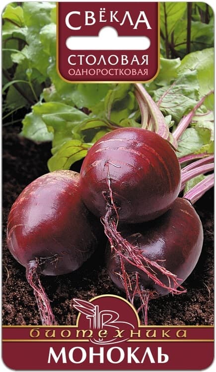 Фото – Свекла столовая одноростковая Монокль