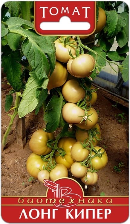 Фото – Томат Лонг Кипер