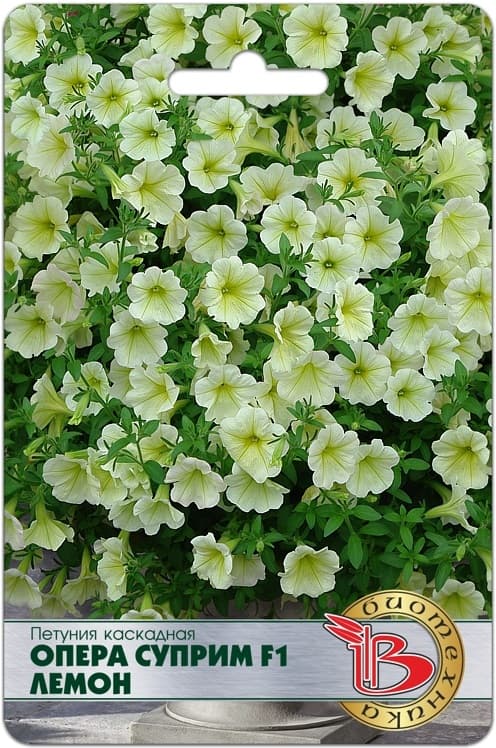 Фото – Петуния каскадная Опера Суприм F1 Лемон