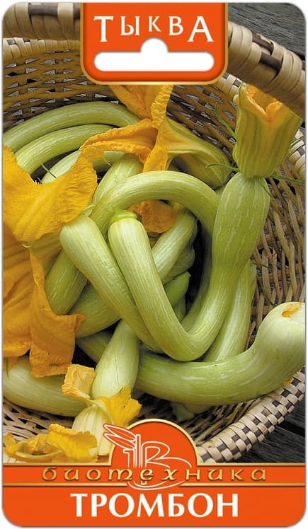 Фото – Тыква Тромбон