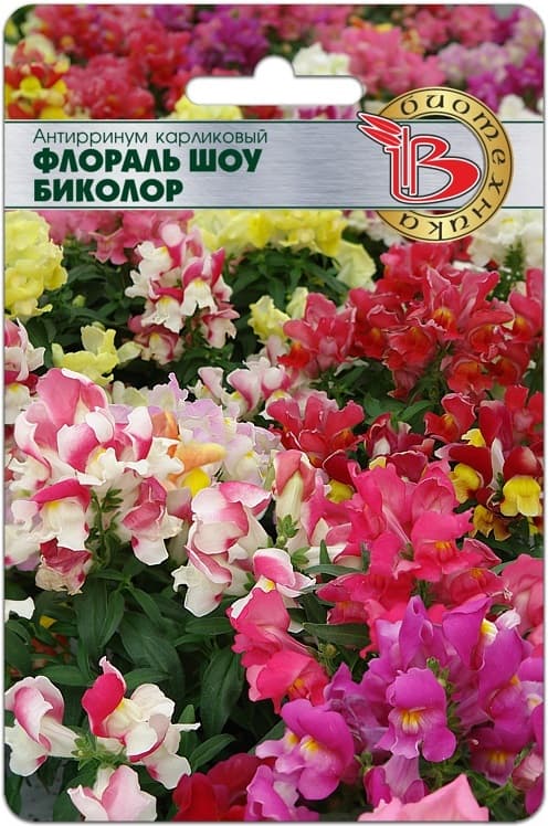 Фото – Антирринум карликовый Флораль Шоу Биколор