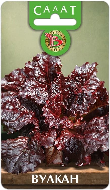 Фото – Салат Вулкан