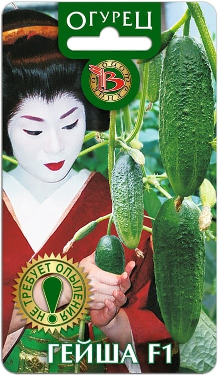 Фото – Огурец Гейша F1